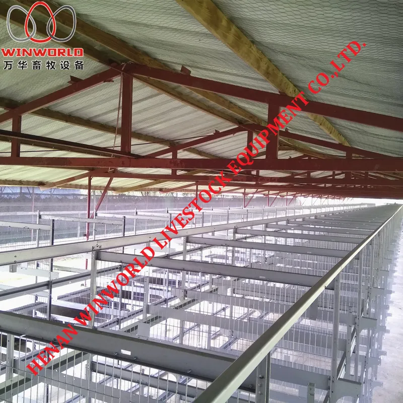 Gambia H Type Battery Chicken Cage & Battery Poultry Cage with 168 Birds for Chicken Shed