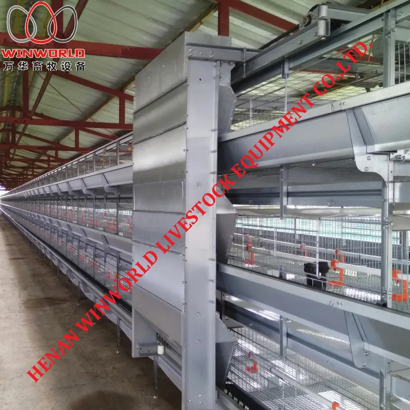 Gambia H Type Battery Chicken Cage & Battery Poultry Cage with 168 Birds for Chicken Shed