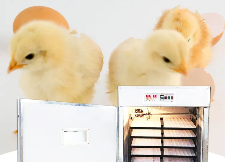 Good Price Automatic Poultry Chicken Egg Incubator Controller Hatcher