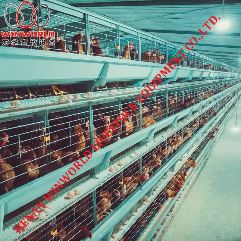 Good Price Galvanizing Poultry Farm Equipment Layer Chicken Battery Cage for Sale
