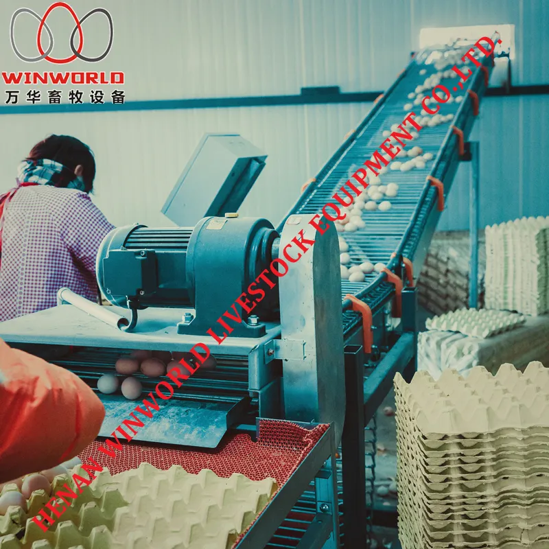 Good Price Galvanizing Poultry Farm Equipment Layer Chicken Battery Cage for Sale