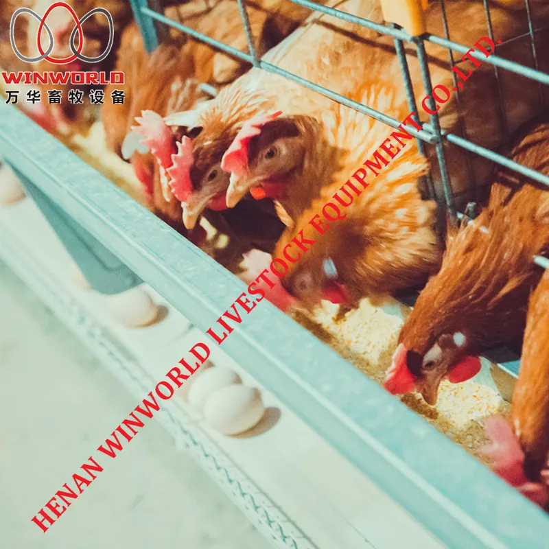 Good Price Galvanizing Poultry Farm Equipment Layer Chicken Battery Cage for Sale