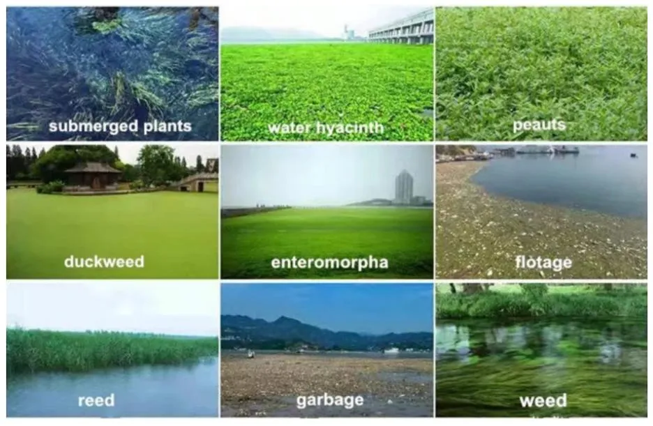 Good Quality Aquatic Water Weed Harvester Cutting Trash Skimmer From China