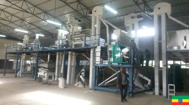 Green Mung Kidney Lentil Bean Cleaning and Grading Plant
