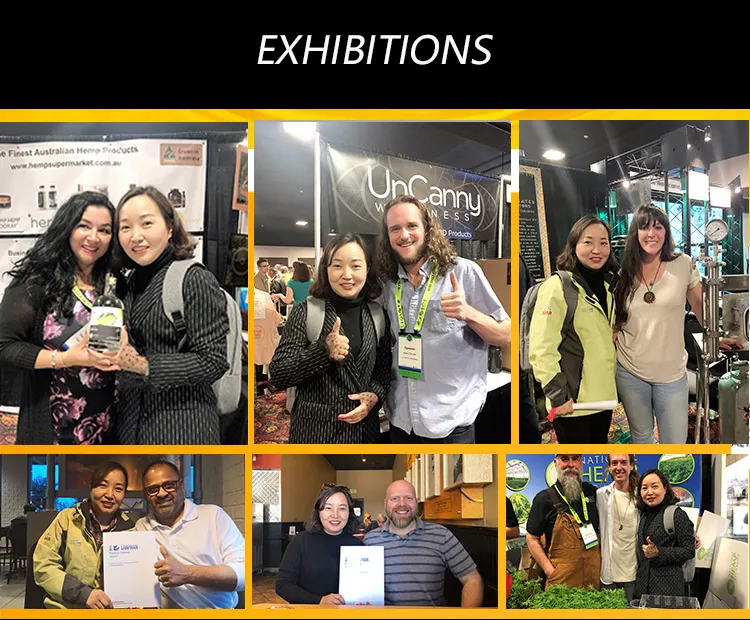 Gyl-80 6yl-80 300kg 6yl-80 Sesame Sunflower Peanut Coconut Diesel Coconut Hot and Cold Mini Oil Press Pressing Machine