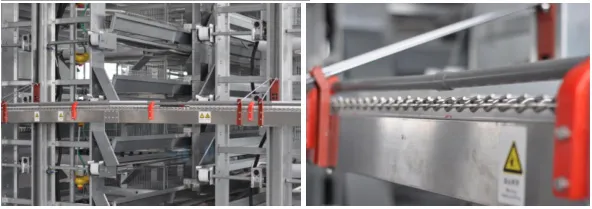 H Frame Battery Chicken Layer Cage Poultry Farm Equipment