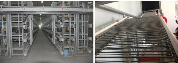 H Frame Battery Chicken Layer Cage Poultry Farm Equipment