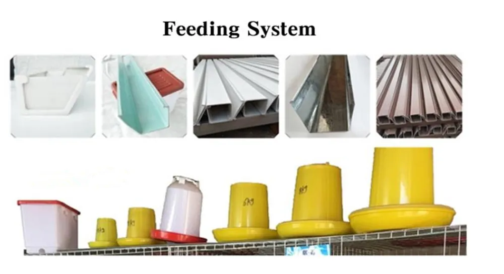 H Type Automatic Battery Day Old Layer Chicken Cages Poultry Breeding Equipment