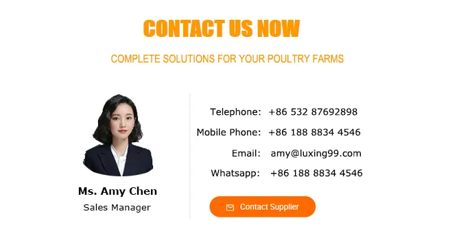 H Type Automatic Battery Day Old Layer Chicken Cages Poultry Breeding Equipment