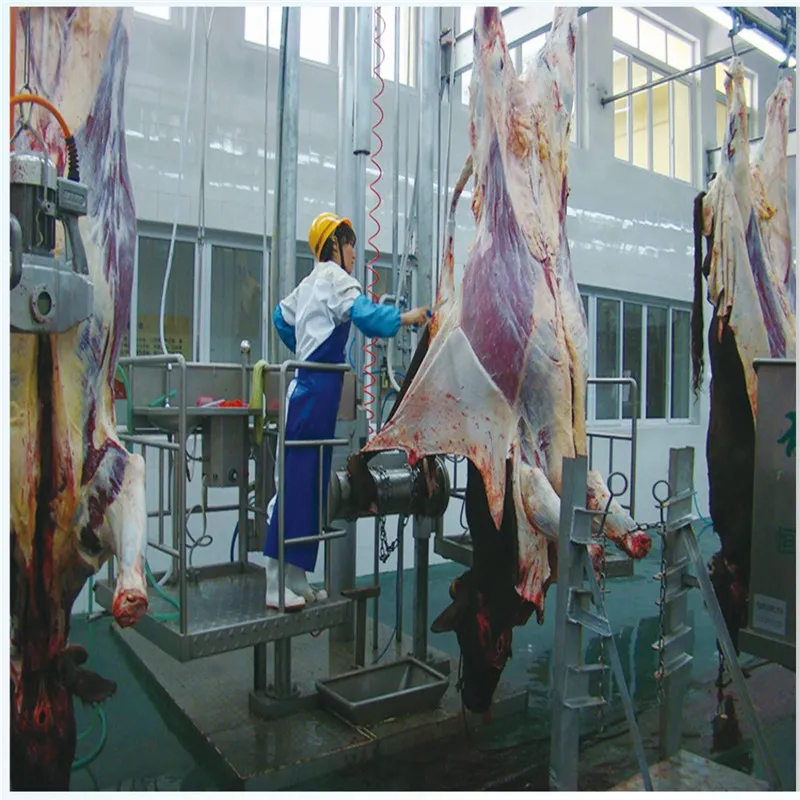 Halal Slaughter of Pigs, Cattle, Sheep and Poultry