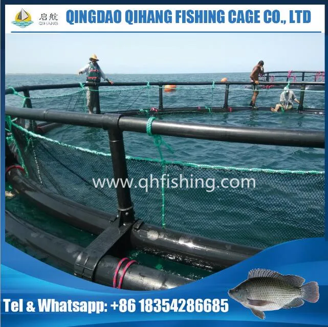 HDPE Cage Fish Farming in Volta Lake