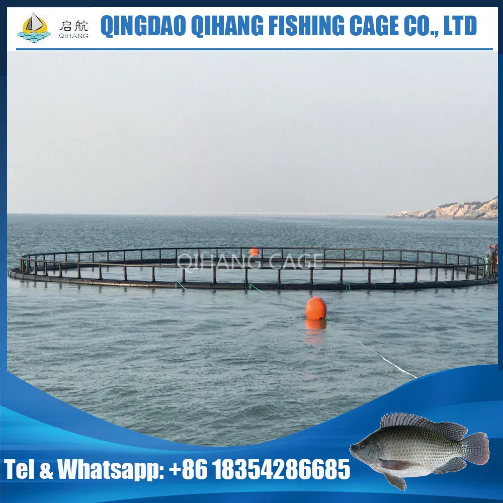 HDPE Fish Cage for Sea Bass and Sea Bream Fish Farming