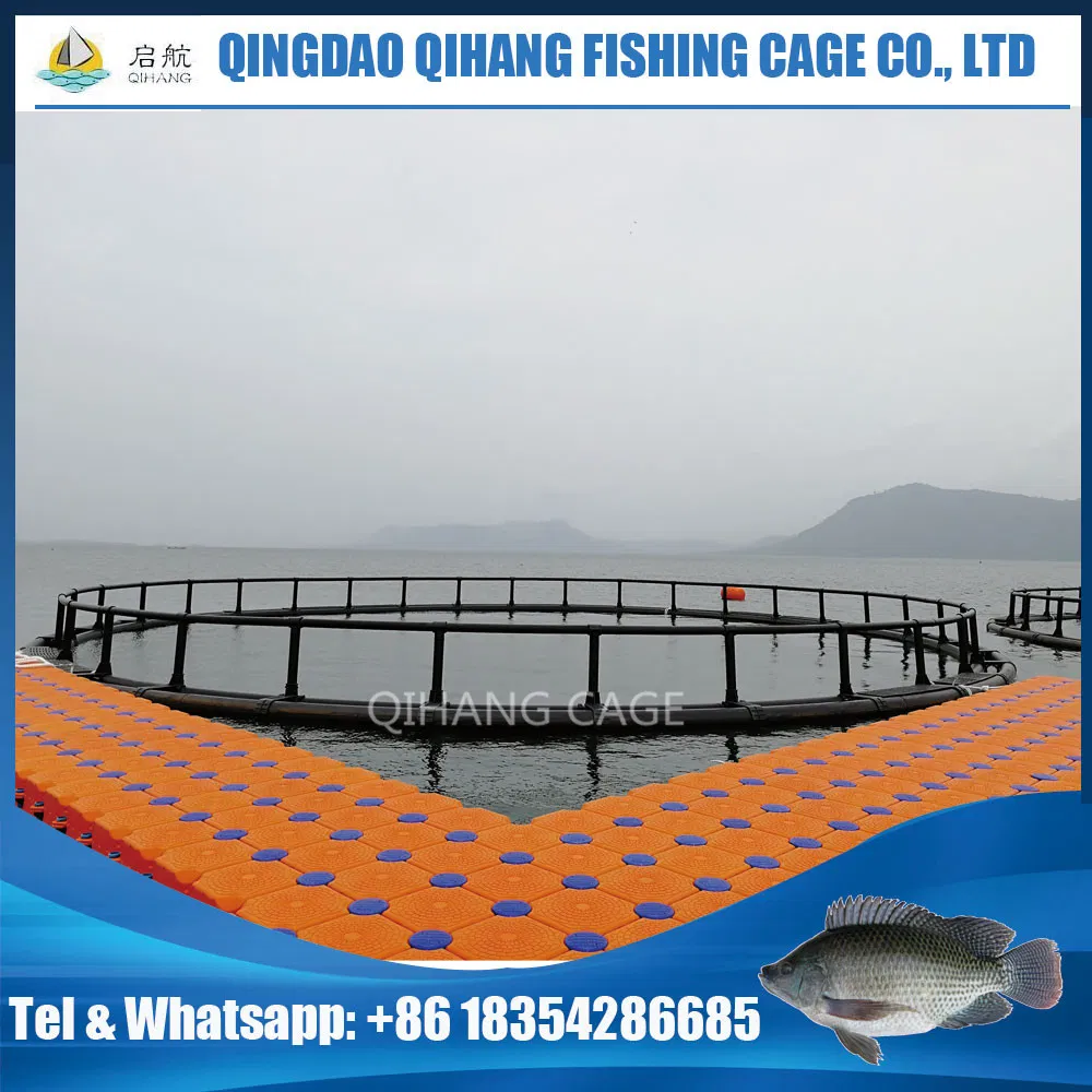 HDPE Fish Cage for Sea Bass and Sea Bream Fish Farming