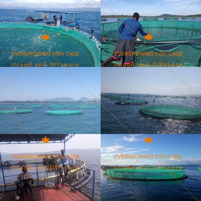 HDPE Floating Round PE Fishing Lake Volta 60m Net Cage