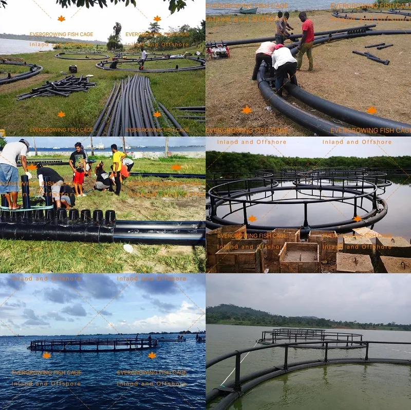 HDPE Net Cage Lake Lagoon Inland Farming Bream Single Circular Aquaculture Fish Cage