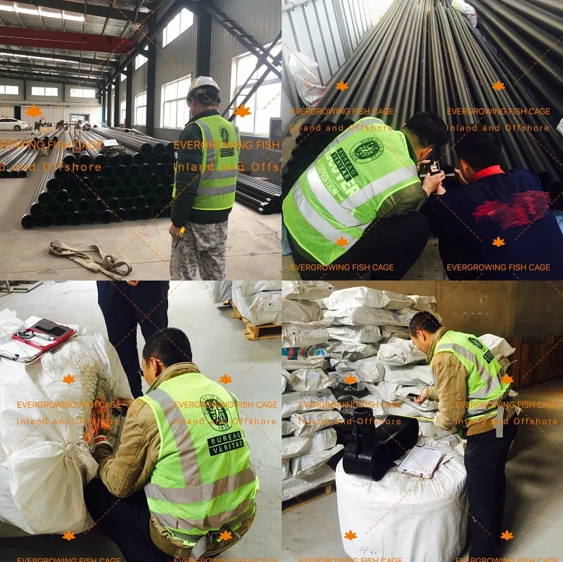 HDPE Net Cage Lake Lagoon Inland Farming Bream Single Circular Aquaculture Fish Cage