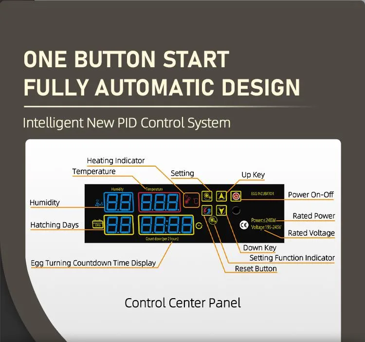 Hhd 138 Eggs Full Automatic Small Hatchery Setter with Digital Controller