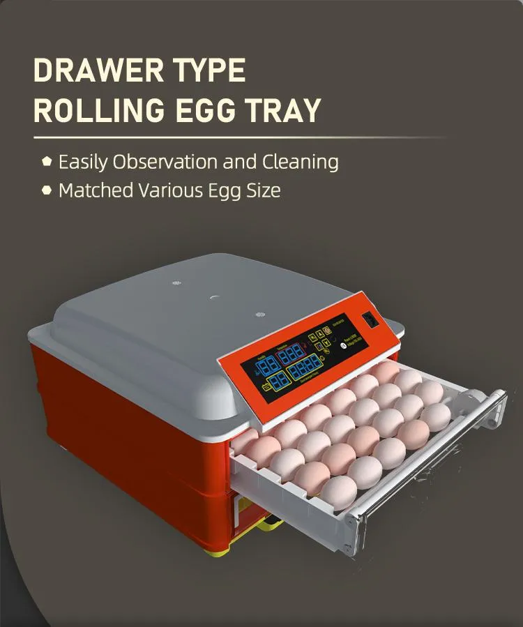 Hhd 138 Eggs Full Automatic Small Hatchery Setter with Digital Controller