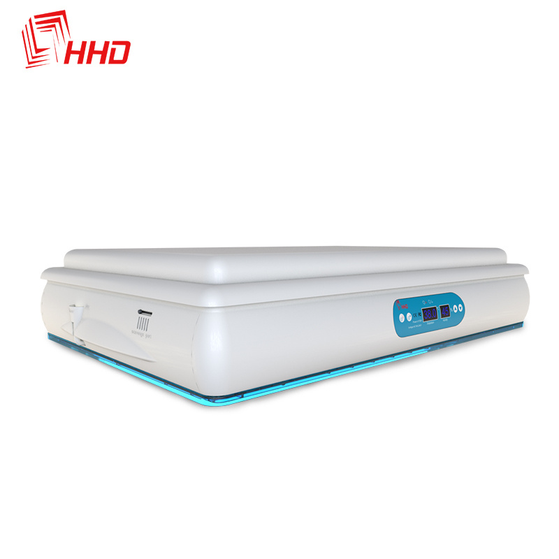 Hhd Bird Eggs Fertilized Parrots Puppy Incubator