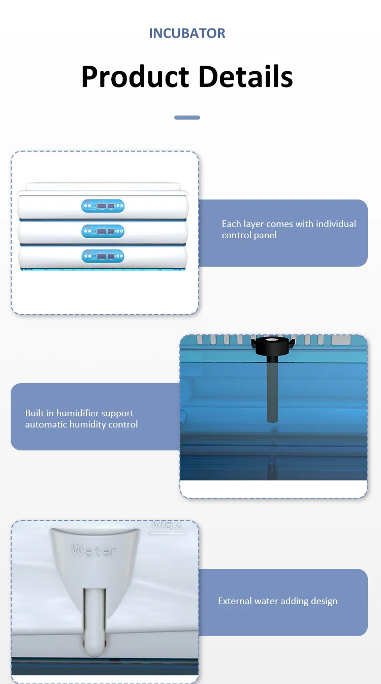 Hhd Incubators Hatching Eggs Fully Automatic Eggs Product H1080
