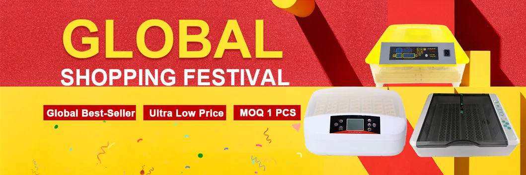 Hhd New Arrival Full Automatic 36 Chicken Egg Incubator for Sale Ew-36