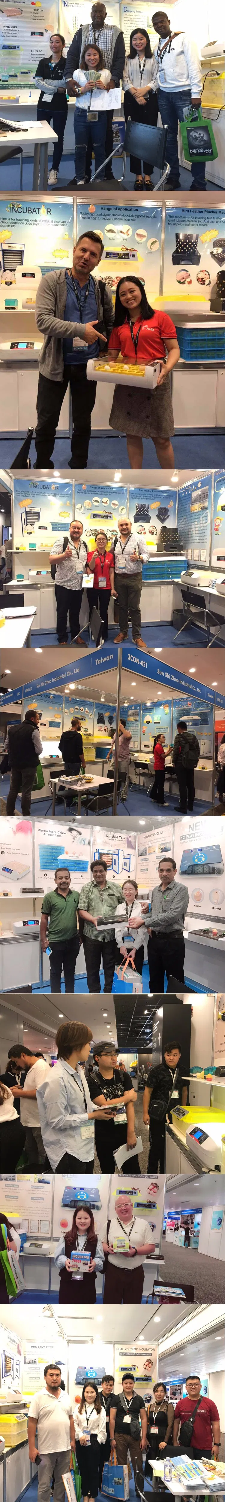 Hhd New Arrival Full Automatic 36 Chicken Egg Incubator for Sale Ew-36