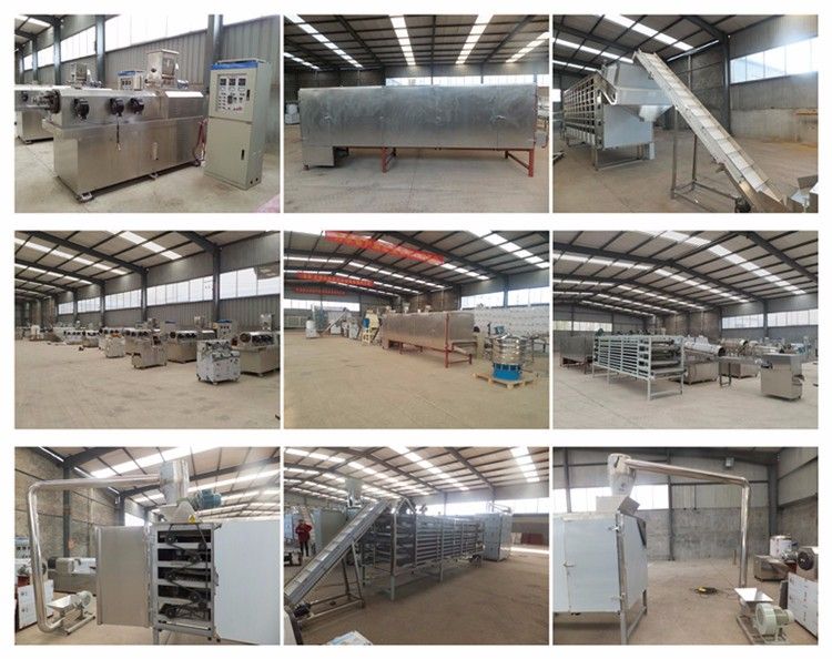 High Capacity Dry Cat Pet Food Production Line Fish Feed Dog Food Making Machine