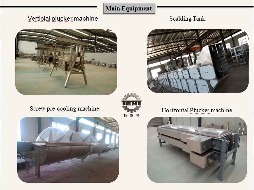 High Quality Poultry Plucker for Sale