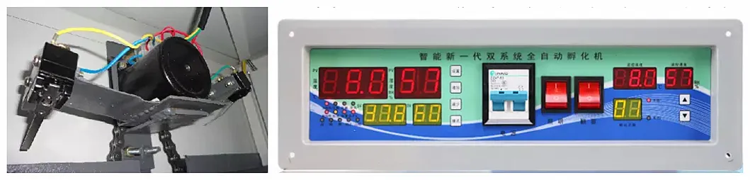 Hl Automatic Chicken Egg Incubator Solar Egg Incubator for 5280 Eggs