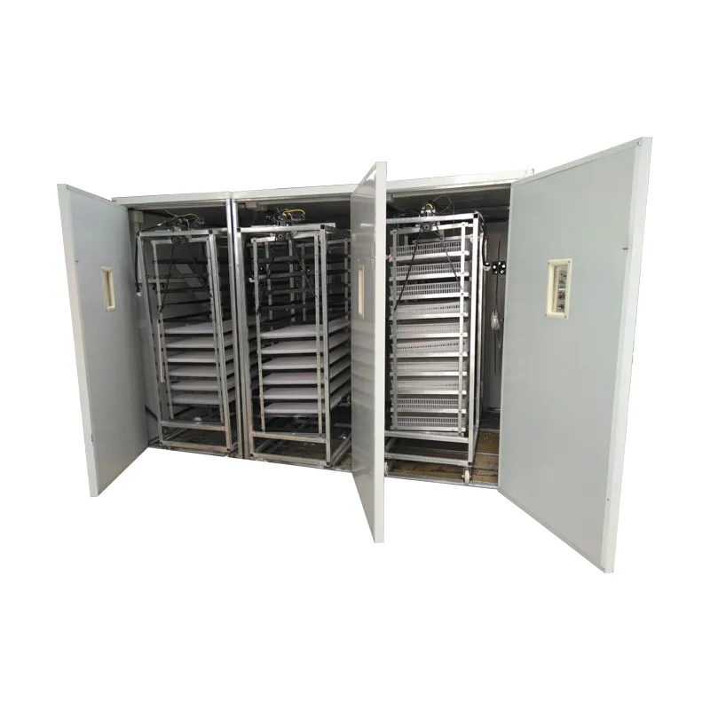 Hl Automatic Chicken Egg Incubator Solar Egg Incubator for 5280 Eggs