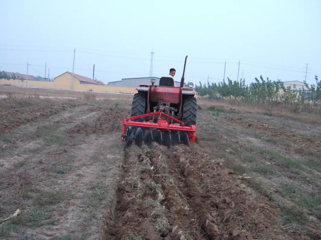 Hongri Good Quality Drive Disc Plough for Traactor