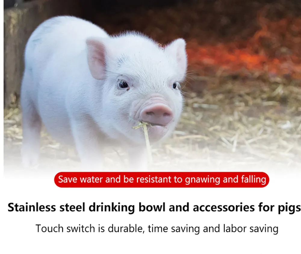 Hot Sale 202/304 Stainless Steel Pig Waterer Automatic Pig Waterer