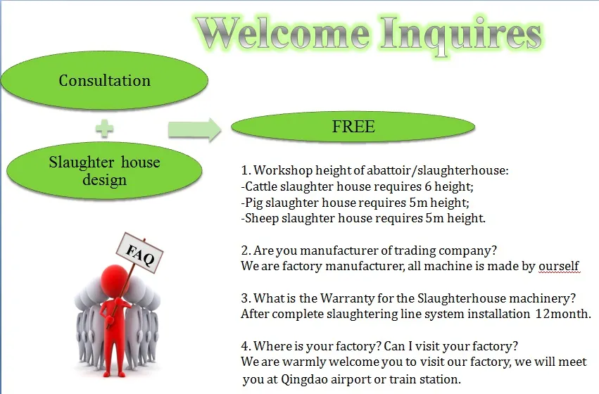 Hot Sale Cattle Slaughterhouse Equipment