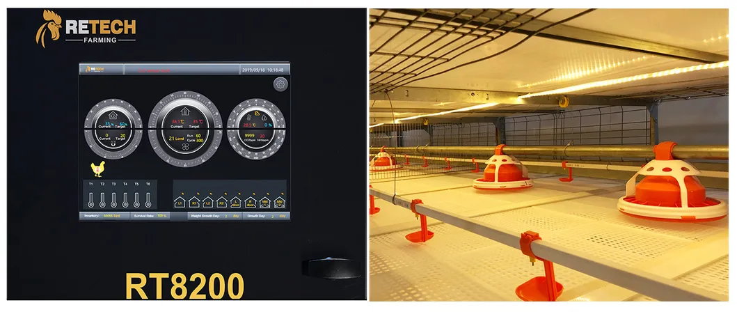 Husbandry Machinery Stockline Silo in Poultry Livestock