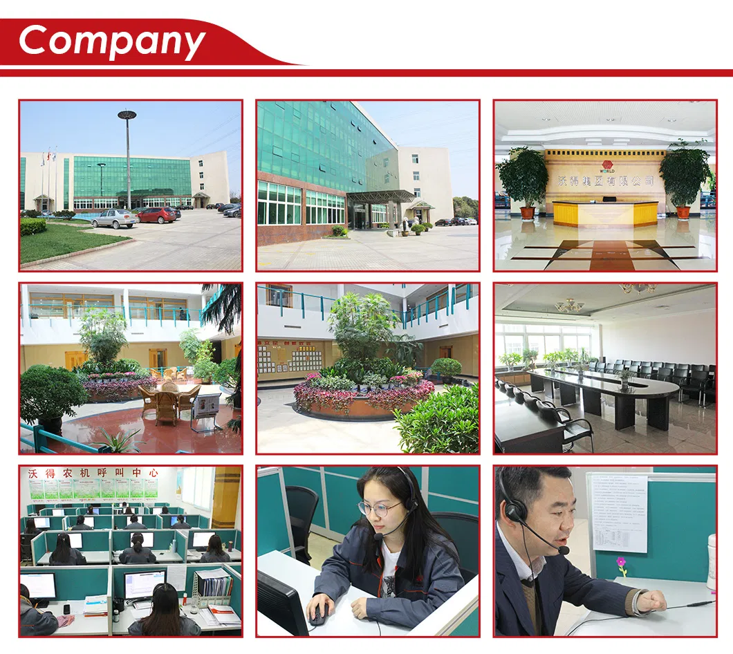 Hydraulic Steering Type Farm Machinery Rice Planter Side for Fertilization