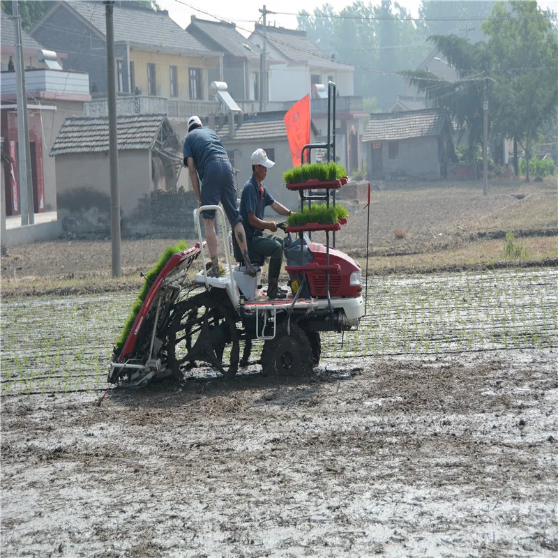 Hydraulic Steering Type Farm Machinery Rice Planter Side for Fertilization