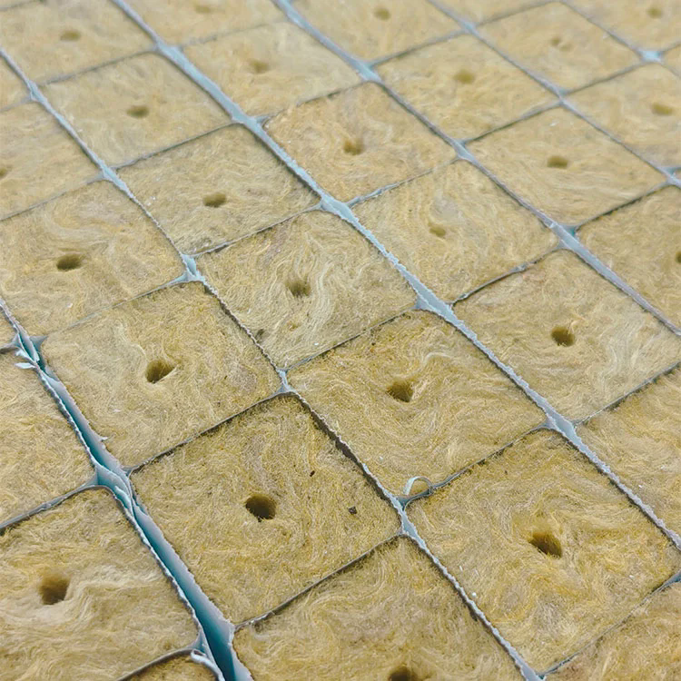 Agricultural Rockwool Seedling Cultivation