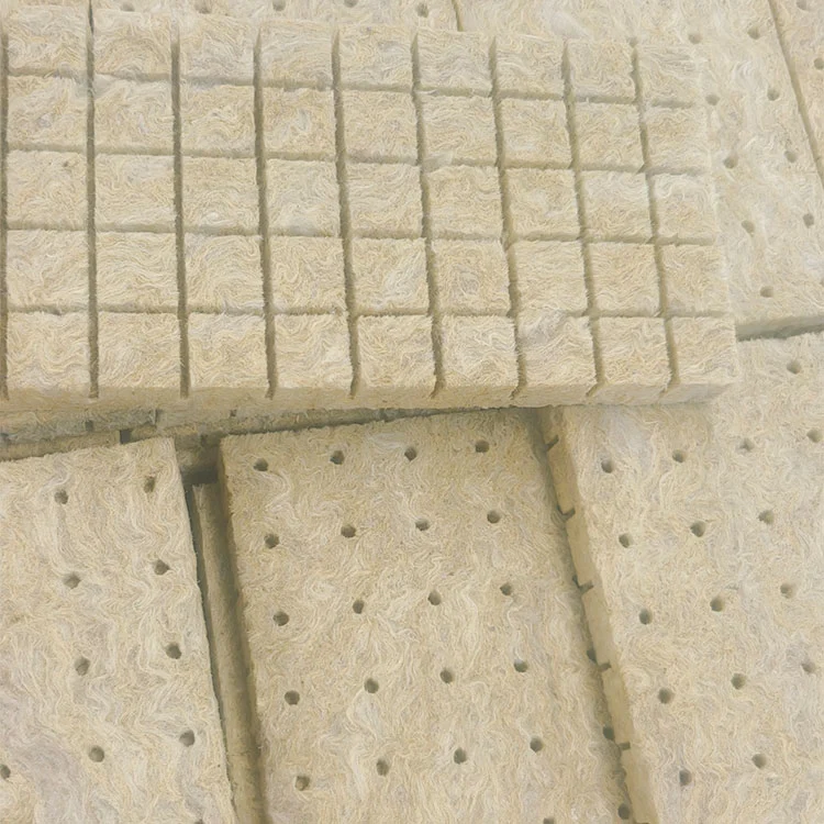 Soilless Hydroponic Sponge Cultivation