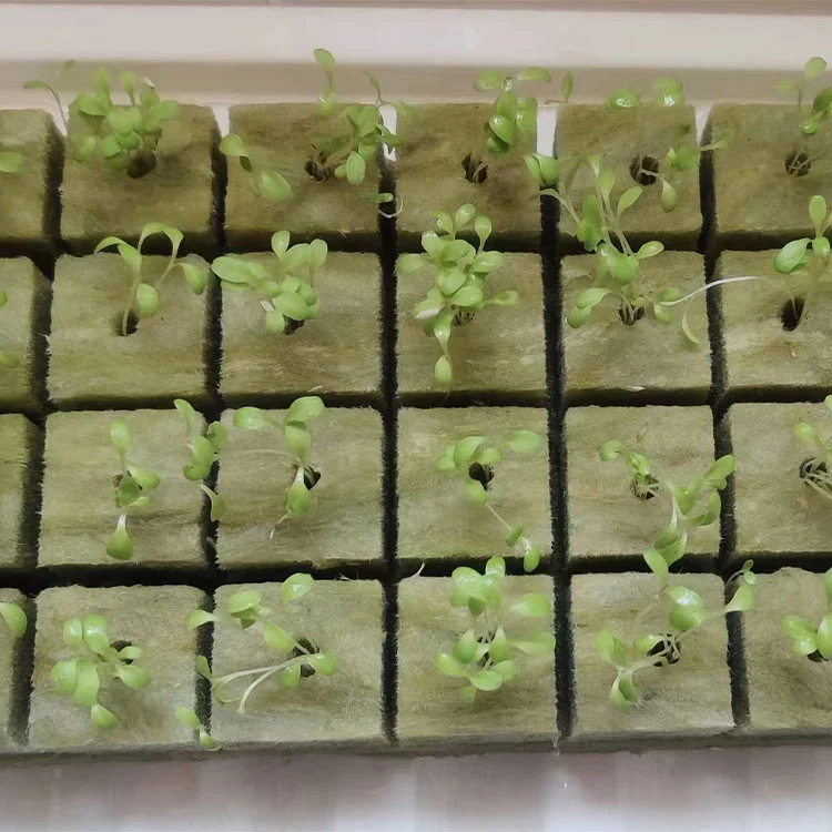 Greenhouse Vegetable Soilless Cultivation