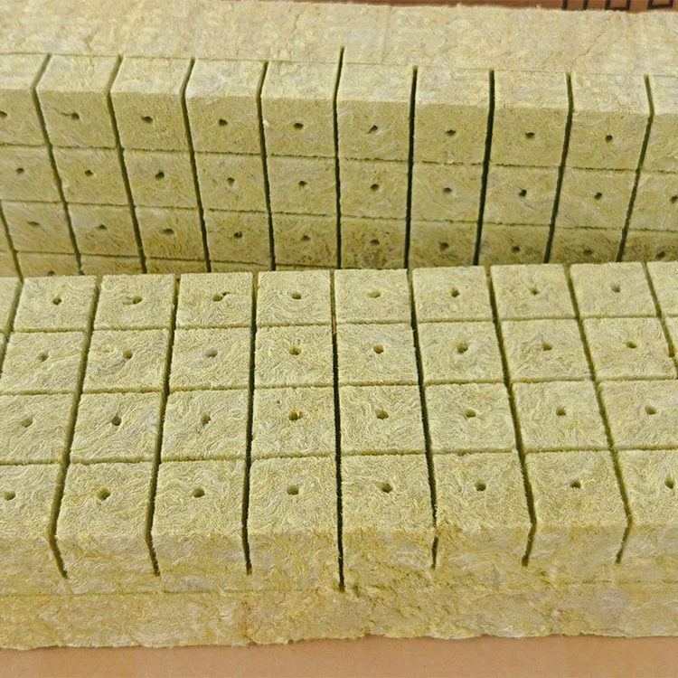 Plant Rockwool Seedling Cultivation