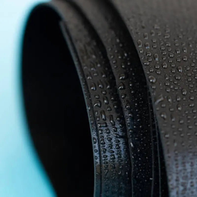 Woven Geomembrane
