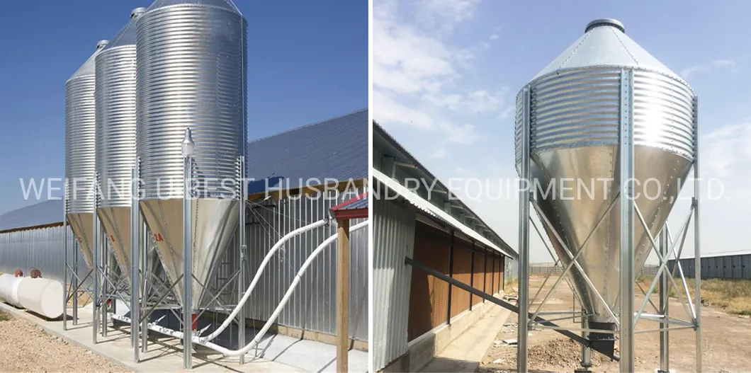 Israel Agrologic Controlled Broiler House Poultry Shed Farm Equipment