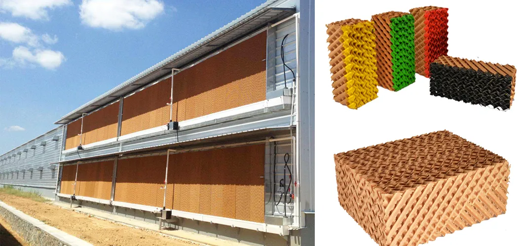 Israel Agrologic Controlled Broiler House Poultry Shed Farm Equipment