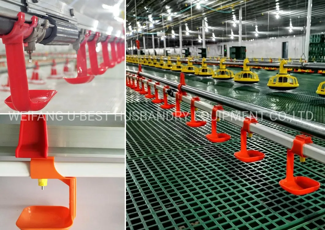 Israel Agrologic Controlled Broiler House Poultry Shed Farm Equipment