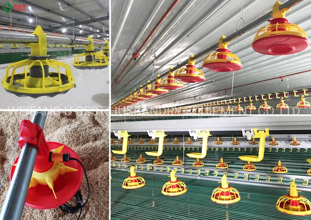 Israel Agrologic Controlled Broiler House Poultry Shed Farm Equipment