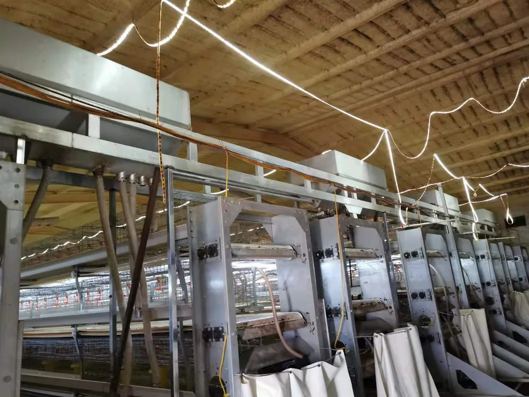 Layer Cage New Design Cage Hot Galvanized Cage Wiremeshes Cage