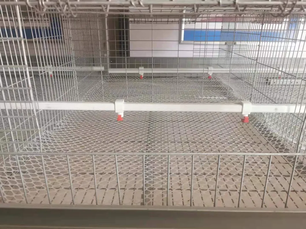 Layer Cage New Design Cage Hot Galvanized Cage Wiremeshes Cage