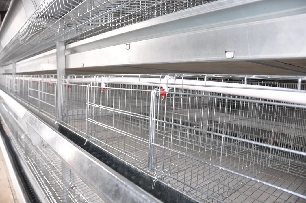 Layer Chicken Better Cage for Poultry Farm