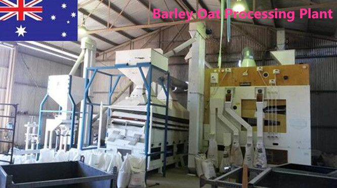 Lentil Kidney Chickpea Cleaning Plant / Pulse Bean Seed Processing Line