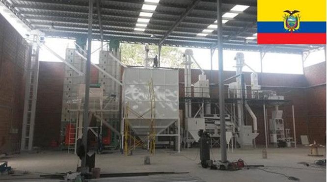 Lentil Kidney Chickpea Cleaning Plant / Pulse Bean Seed Processing Line
